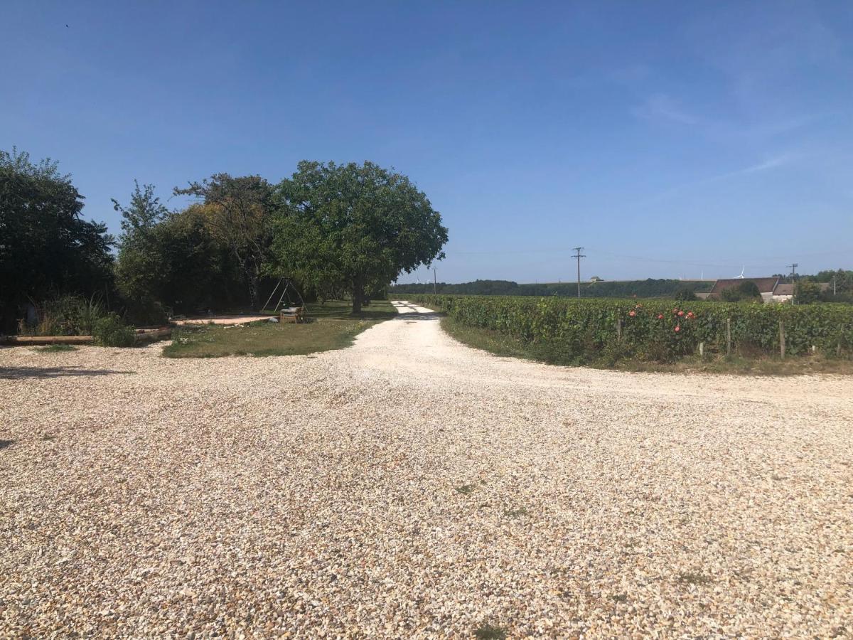 Maison De Pauline, Chablis Vineyard Préhy Buitenkant foto