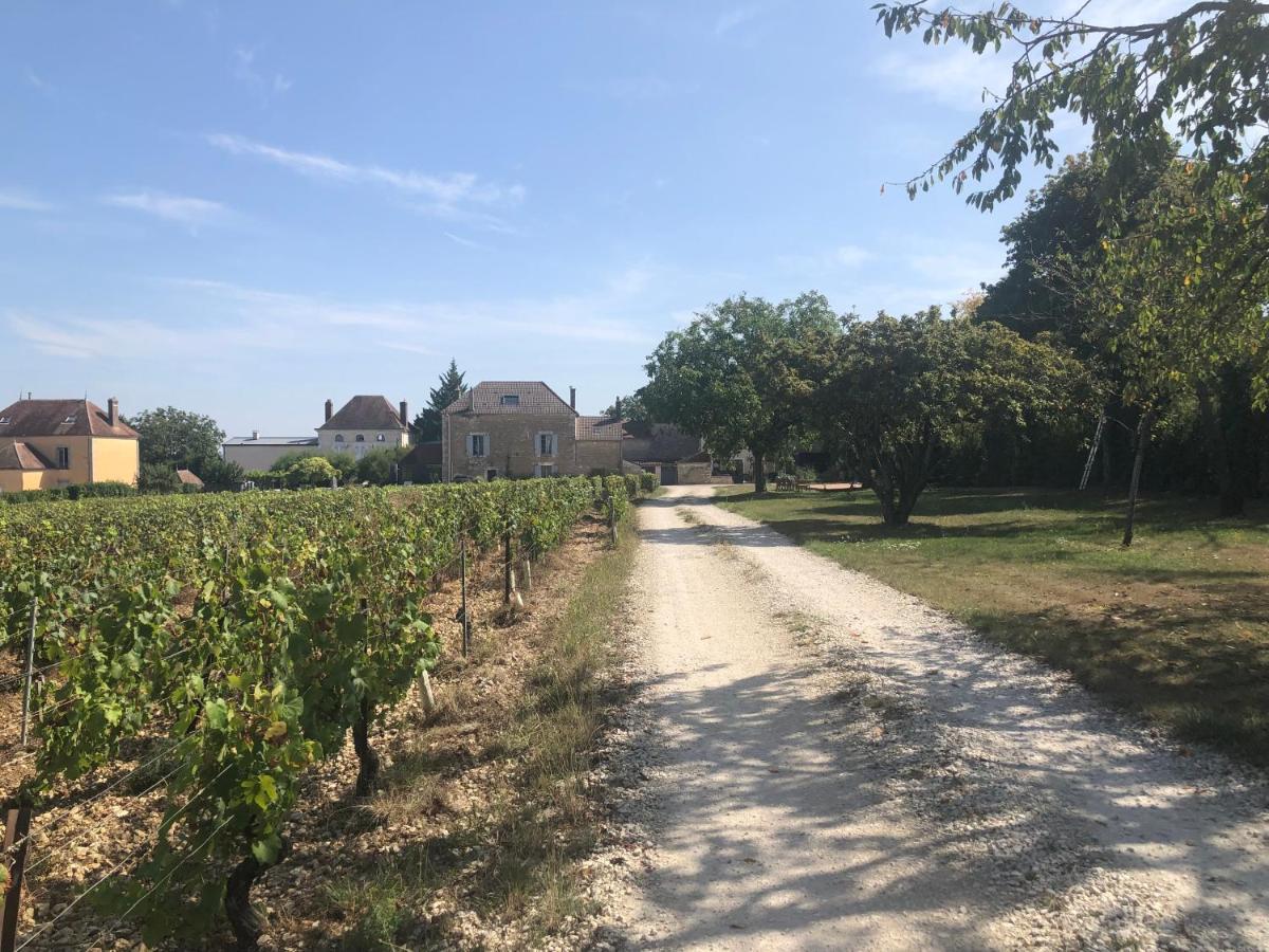 Maison De Pauline, Chablis Vineyard Préhy Buitenkant foto
