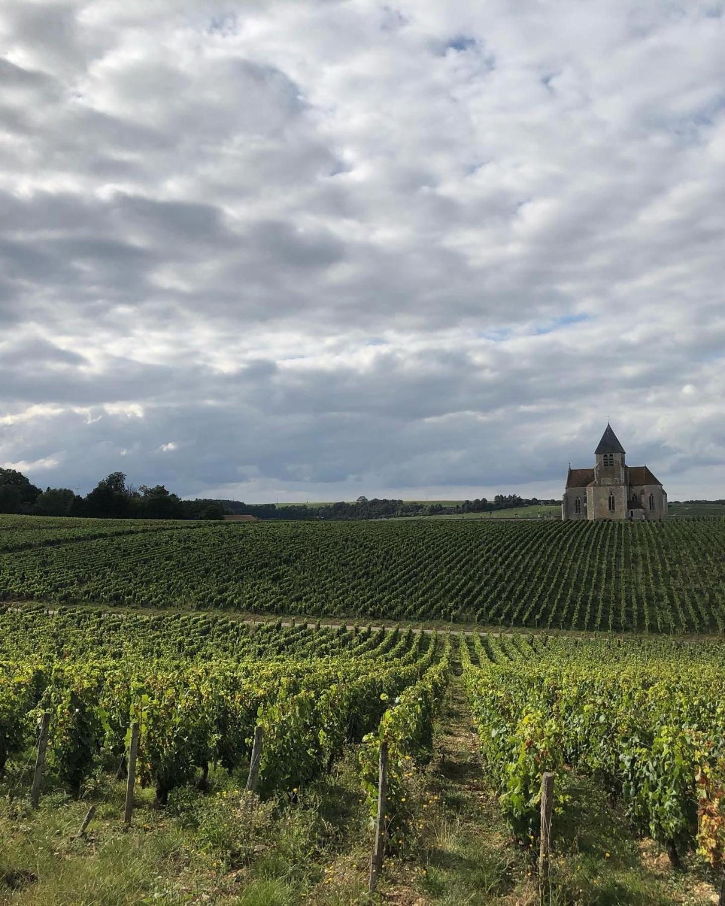 Maison De Pauline, Chablis Vineyard Préhy Kamer foto