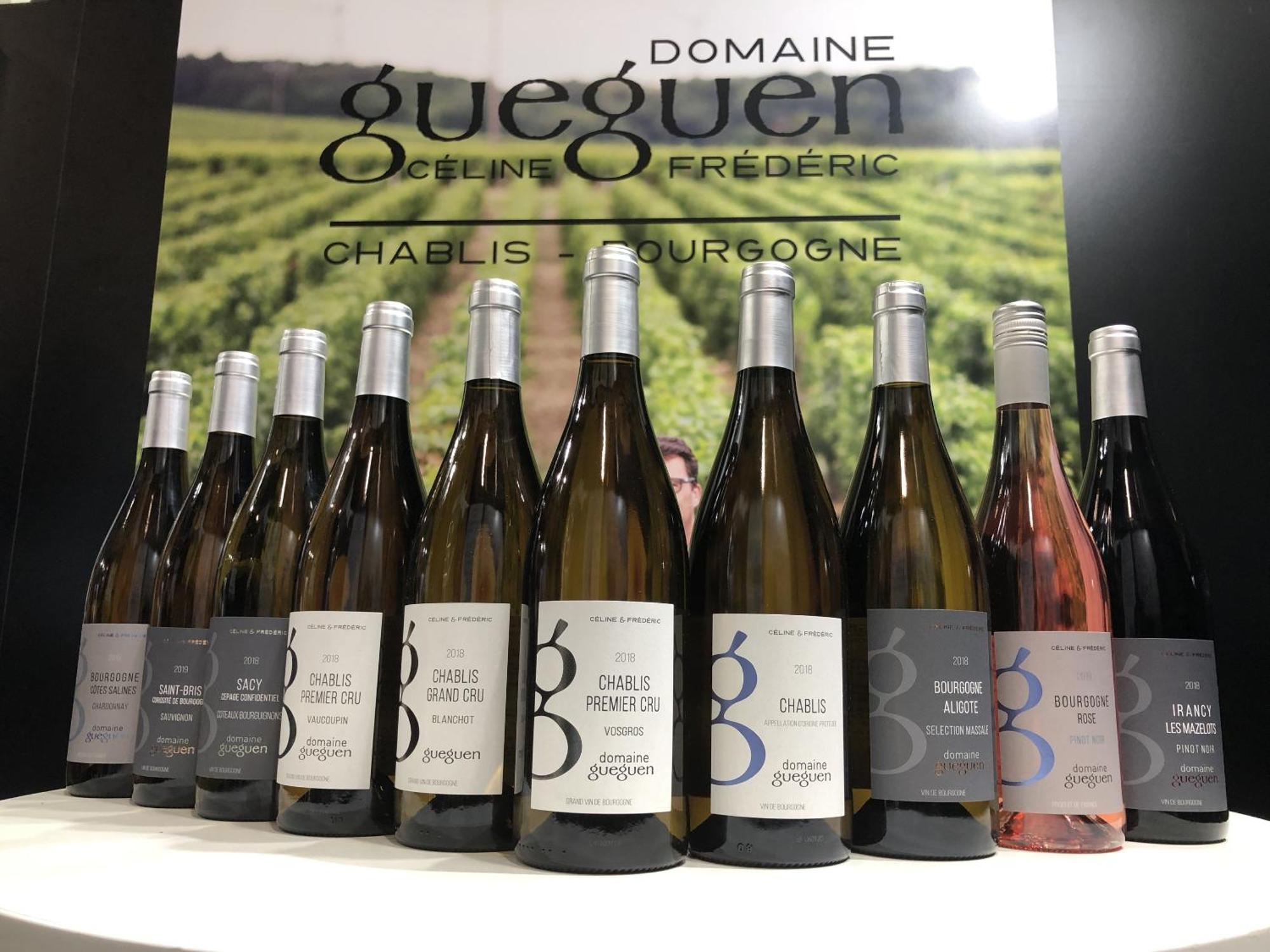 Maison De Pauline, Chablis Vineyard Préhy Buitenkant foto