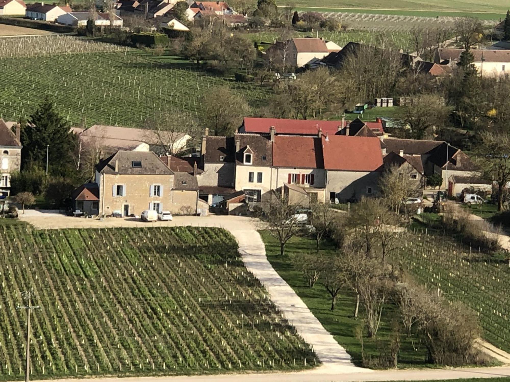 Maison De Pauline, Chablis Vineyard Préhy Buitenkant foto
